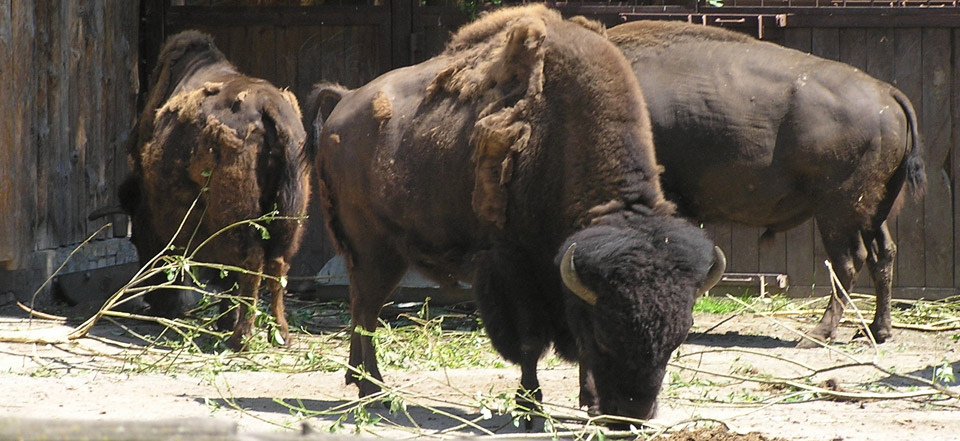 做事很靠谱的网站攻击测试
