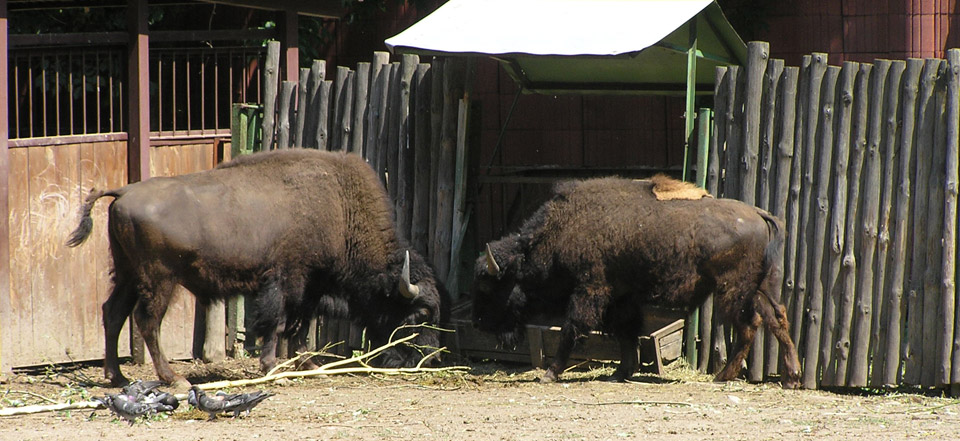 ddos网页在线攻击