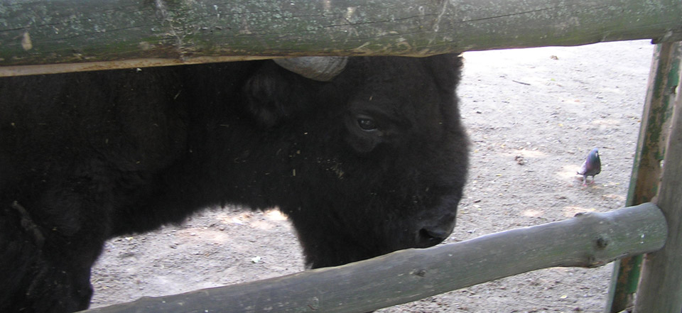 免费ddos平台攻击